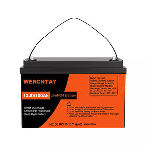 12.8V 1280Wh/100Ah LiFePO4 Battery with BMS Protection