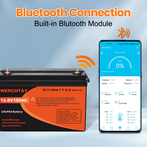 100Ah LiFePO4 Battery with Bluetooth Module